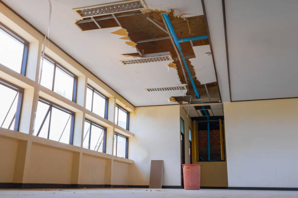 Best Flood restoration services  in Curtice, OH