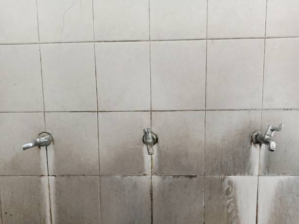 Best Sewage cleanup and water damage restoration  in Curtice, OH