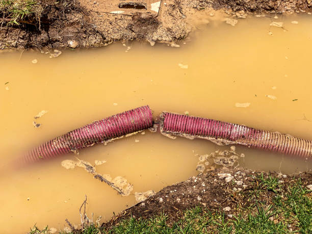 Trusted Curtice, OH Water damage restoration Experts