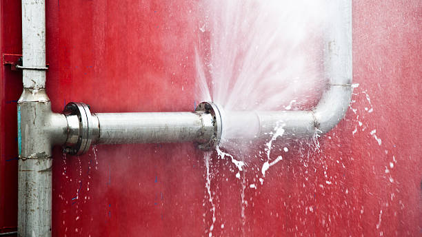 Best Flooded house restoration  in Curtice, OH